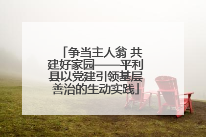 争当主人翁 共建好家园——平利县以党建引领基层善治的生动实践