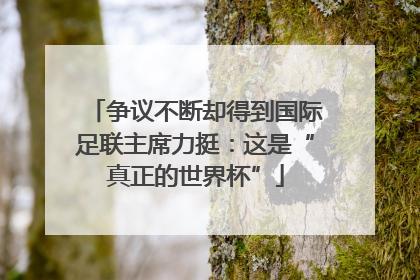 争议不断却得到国际足联主席力挺：这是“真正的世界杯”