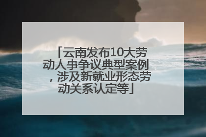 云南发布10大劳动人事争议典型案例，涉及新就业形态劳动关系认定等