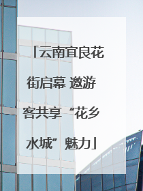 云南宜良花街启幕 邀游客共享“花乡水城”魅力