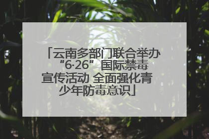 云南多部门联合举办“6·26”国际禁毒宣传活动 全面强化青少年防毒意识