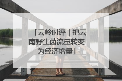 云岭时评｜把云南野生菌流量转变为经济增量