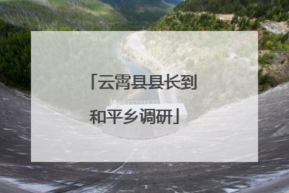 云霄县县长到和平乡调研