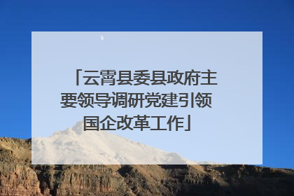云霄县委县政府主要领导调研党建引领国企改革工作