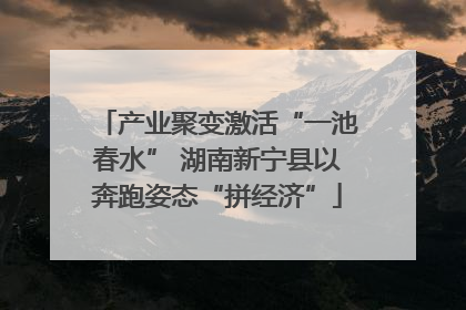 产业聚变激活“一池春水” 湖南新宁县以奔跑姿态“拼经济”
