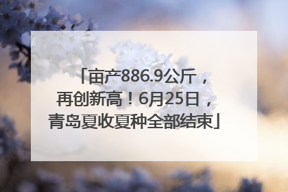 亩产886.9公斤，再创新高！6月25日，青岛夏收夏种全部结束