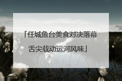 任城鱼台美食对决落幕 舌尖载动运河风味