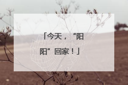 今天，“阳阳”回家！