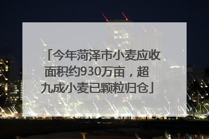 今年菏泽市小麦应收面积约930万亩，超九成小麦已颗粒归仓