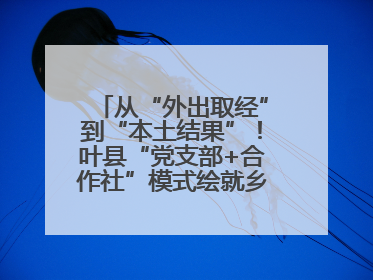 从“外出取经”到“本土结果”！叶县“党支部+合作社”模式绘就乡村振兴新图景