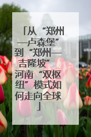 从“郑州—卢森堡”到“郑州—吉隆坡” 河南“双枢纽”模式如何走向全球
