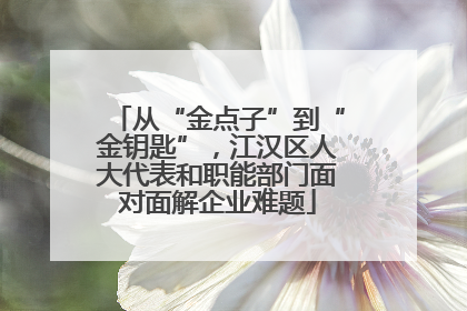从“金点子”到“金钥匙”，江汉区人大代表和职能部门面对面解企业难题