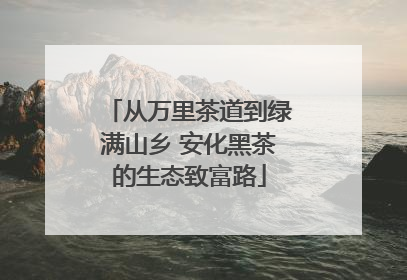 从万里茶道到绿满山乡 安化黑茶的生态致富路