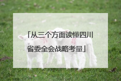 从三个方面读懂四川省委全会战略考量