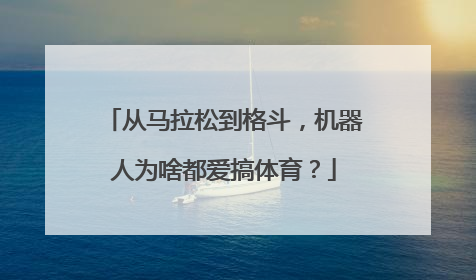 从马拉松到格斗，机器人为啥都爱搞体育？