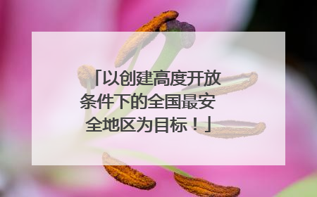 以创建高度开放条件下的全国最安全地区为目标！