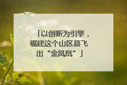以创新为引擎，福建这个山区县飞出“金凤凰”