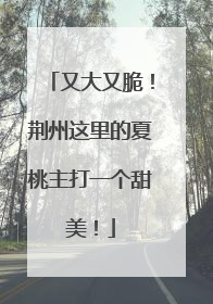 又大又脆！荆州这里的夏桃主打一个甜美！