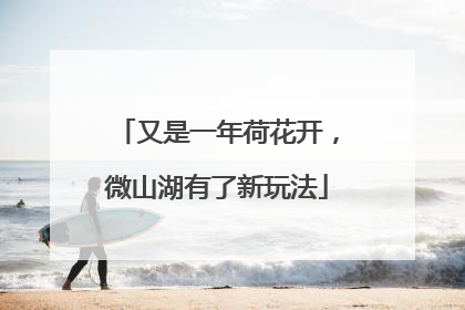 又是一年荷花开，微山湖有了新玩法
