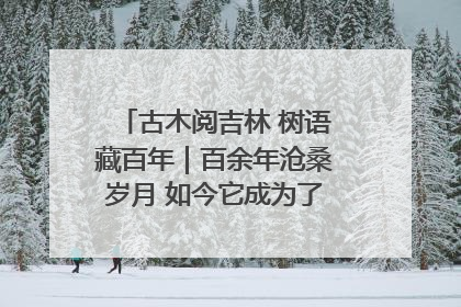 古木阅吉林 树语藏百年｜百余年沧桑岁月 如今它成为了“镇园之宝”