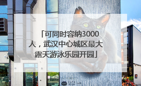 可同时容纳3000人，武汉中心城区最大露天游泳乐园开园