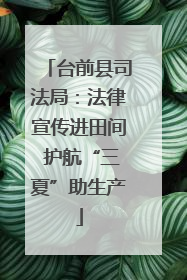 台前县司法局：法律宣传进田间 护航“三夏”助生产