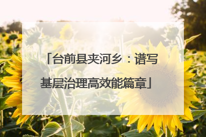 台前县夹河乡：谱写基层治理高效能篇章