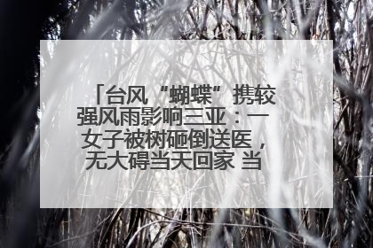台风“蝴蝶”携较强风雨影响三亚：一女子被树砸倒送医，无大碍当天回家 当地已紧急清障