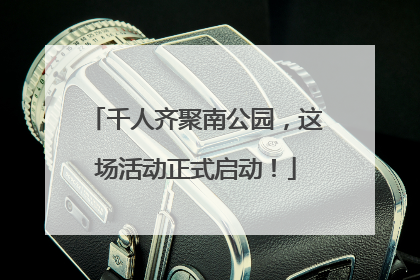 千人齐聚南公园，这场活动正式启动！