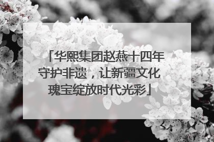 华熙集团赵燕十四年守护非遗，让新疆文化瑰宝绽放时代光彩