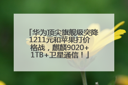 华为顶尖旗舰级突降1211元和苹果打价格战，麒麟9020+1TB+卫星通信！