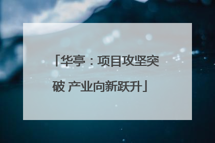 华亭：项目攻坚突破 产业向新跃升