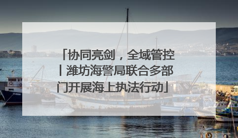 协同亮剑，全域管控丨潍坊海警局联合多部门开展海上执法行动
