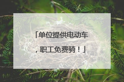 单位提供电动车，职工免费骑！
