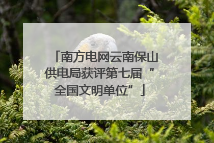 南方电网云南保山供电局获评第七届“全国文明单位”