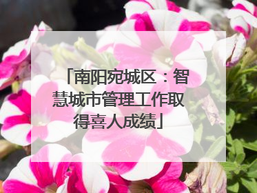 南阳宛城区：智慧城市管理工作取得喜人成绩
