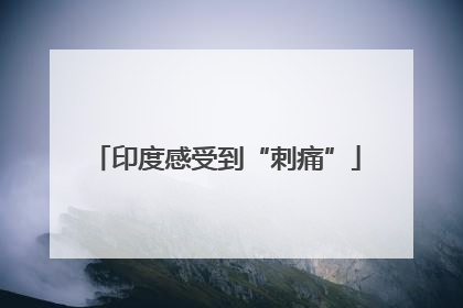 印度感受到“刺痛”
