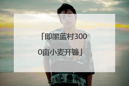 即墨蓝村3000亩小麦开镰