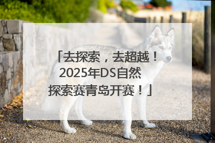 去探索，去超越！2025年DS自然探索赛青岛开赛！
