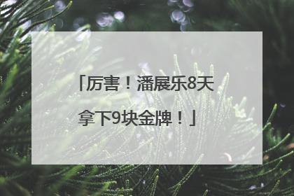 厉害！潘展乐8天拿下9块金牌！