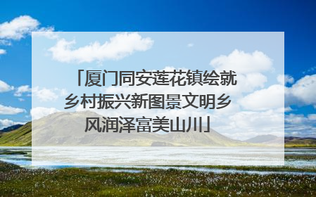 厦门同安莲花镇绘就乡村振兴新图景文明乡风润泽富美山川
