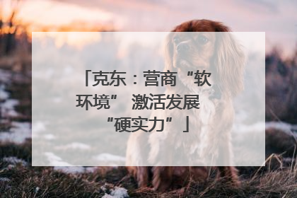 克东：营商“软环境” 激活发展“硬实力”