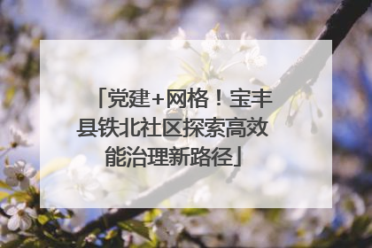 党建+网格！宝丰县铁北社区探索高效能治理新路径