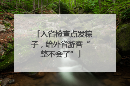 入省检查点发粽子，给外省游客“整不会了”
