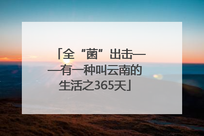 全“菌”出击——有一种叫云南的生活之365天