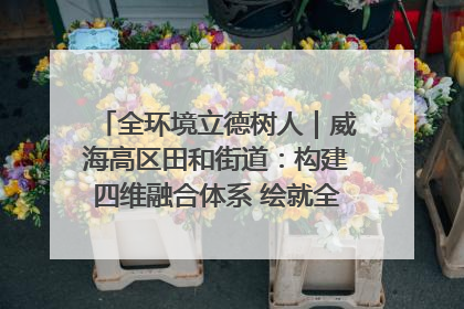 全环境立德树人｜威海高区田和街道：构建四维融合体系 绘就全环境立德树人新画卷