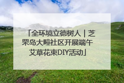 全环境立德树人｜芝罘岛大疃社区开展端午艾草花束DIY活动