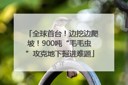 全球首台！边挖边爬坡！900吨“毛毛虫”攻克地下掘进难题