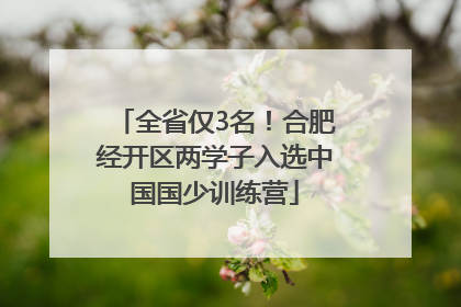 全省仅3名！合肥经开区两学子入选中国国少训练营