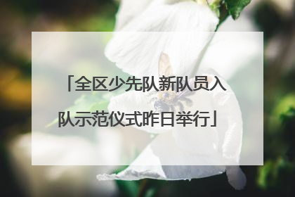 全区少先队新队员入队示范仪式昨日举行